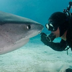 9. Jim Abernathy Conservationist, Film Maker, Shark Expert- full interview - E