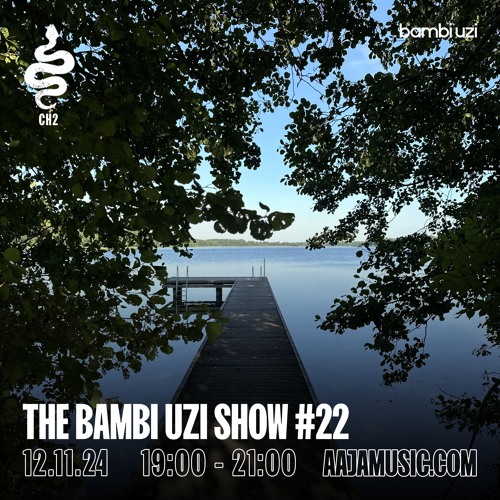 The Bambi Uzi Show #22 - Aaja channel 2 - 12 11 24