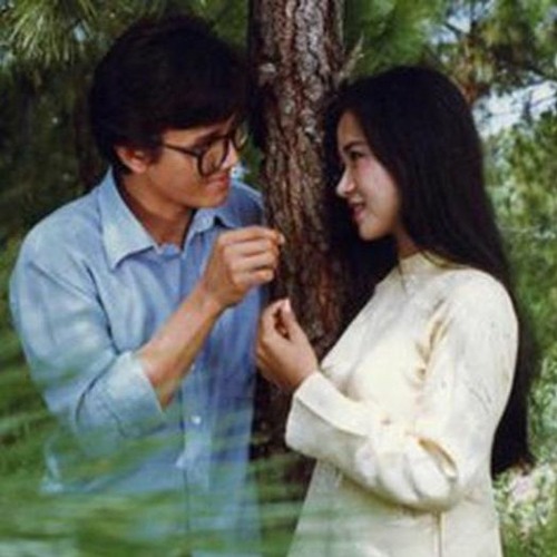 Phiến Lá Tĩnh Lặng