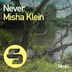 Misha Klein - Never (Radio Edit)