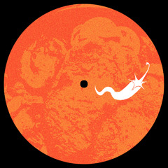 Sunshine (Lil' Flip Garage Edit)