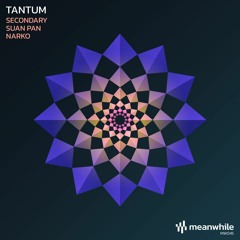 Premiere: Tantum - Secondary [Meanwhile]