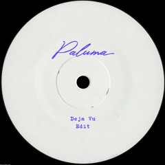 Beyonce - DejaVu (Paluma Edit)