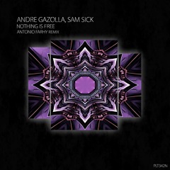 PREMIERE: Andre Gazolla, Sam Sick – Nothing is Free (Antonio Farhy Extended Mix) [ Polyptych Noir ]