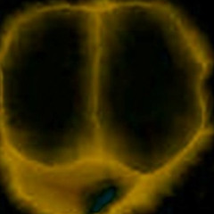 englishman in new york (sting cover)