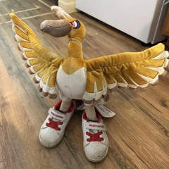 Kanto a Kanto 🔮✨️