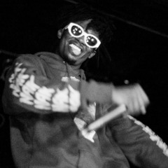 playboi carti - magnolia (house flip)