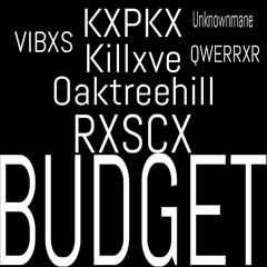 BUDGET MEGACOLLAB