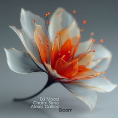 Dj Mood, Chafai Simo, Alexis Callies - Bloom
