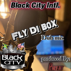 Black City Dub Mix "Fly Di Box" Dubplate Showcase.