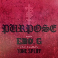 RhymeStyleTroop "Purpose" featuring Edo. G (prod and cuts by Tone Spliff)