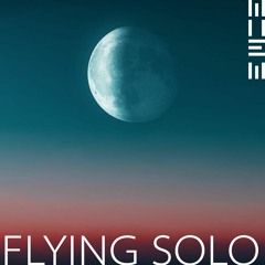 Flying Solo