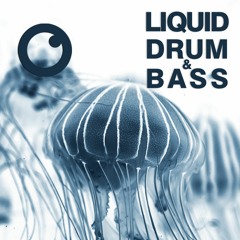 Liquid Drum and Bass Sessions  #33 [November 2020]