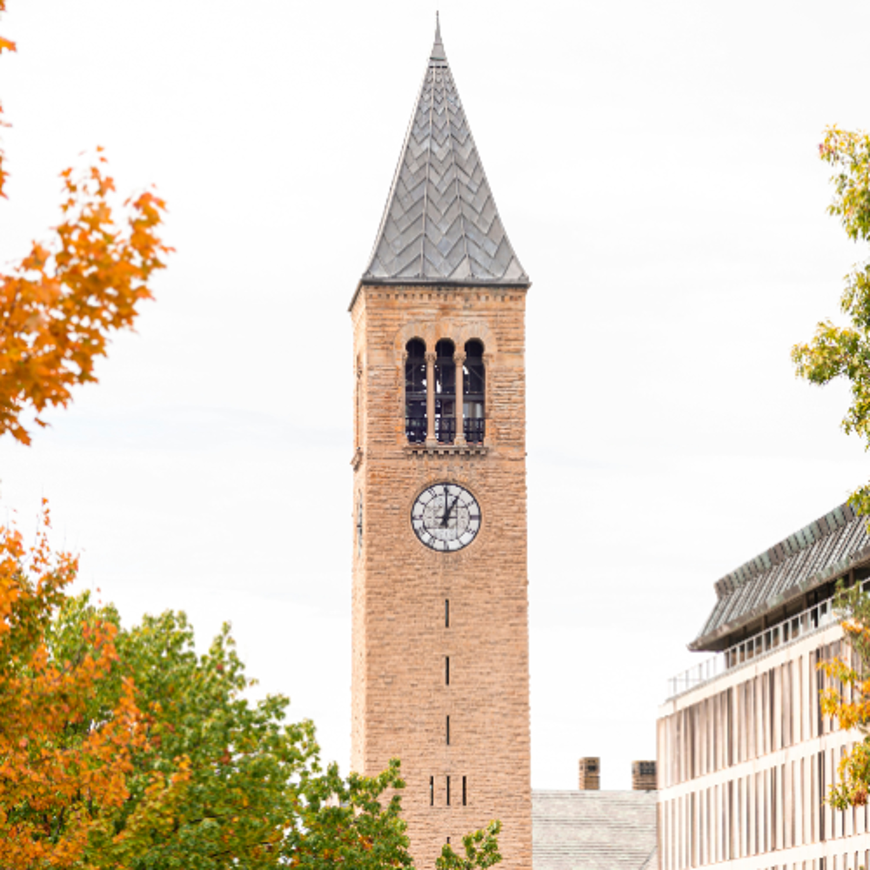 Cornell profits from Wisconsin property