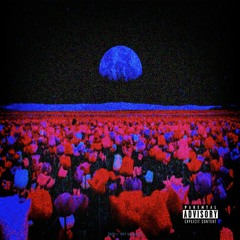 F.O.A.F.M. (feat. Cxrd & Havoc)