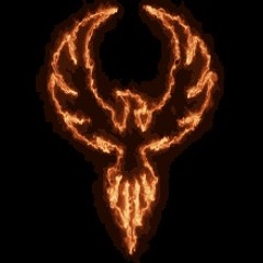 🐦‍🔥 Phoenix 🐦‍🔥
