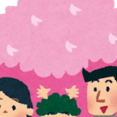 桜はどうですか？