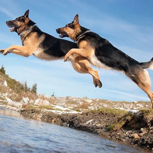 bonxpf - nun 2 do (somaiki)