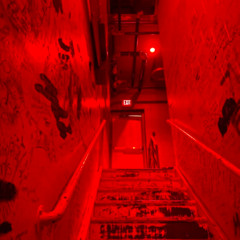 Whole Lotta Red