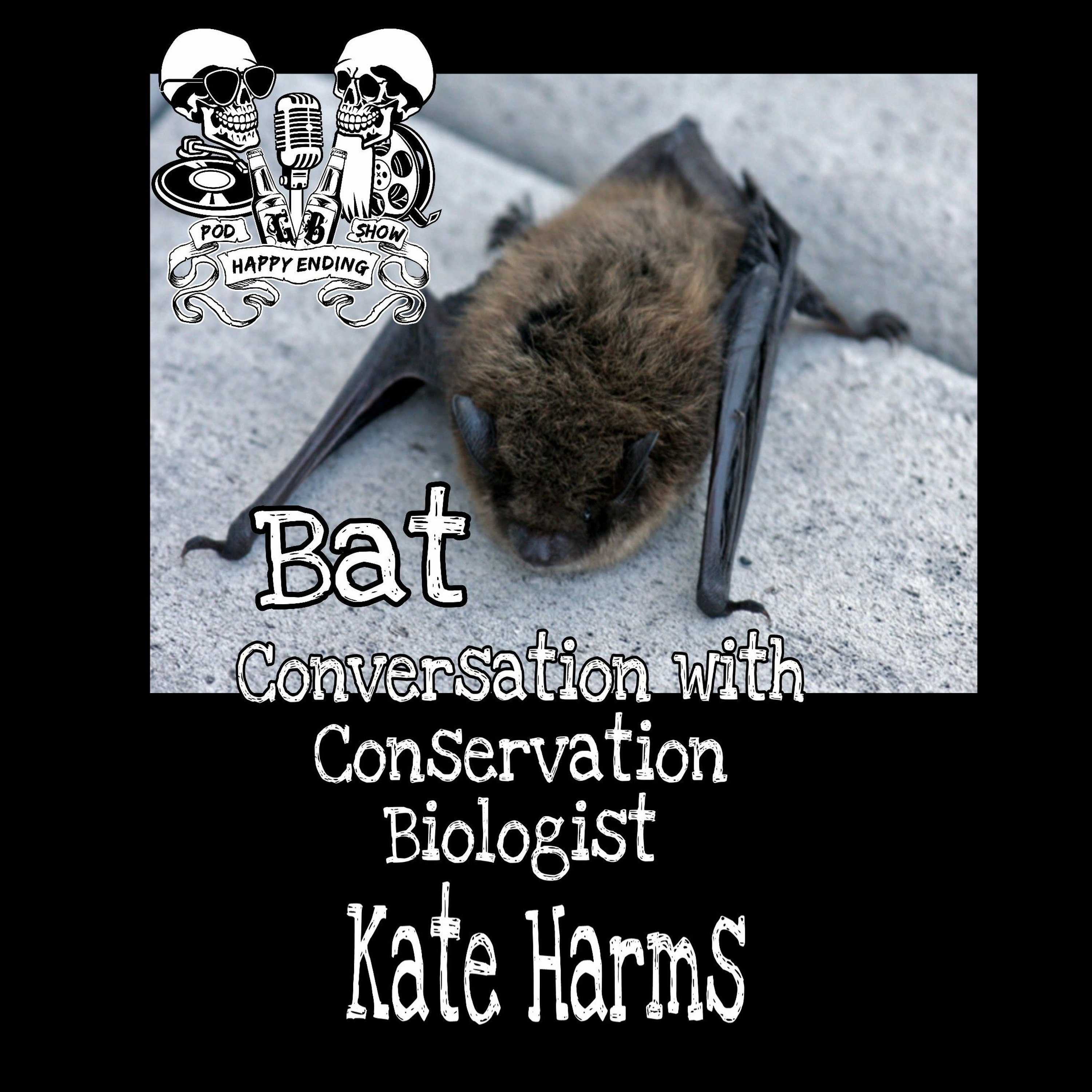 Episode 79 Bats with Conservation Biologist Kate Harms episode artwork