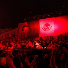 Skrillex X Fred Again Secret Party Mexico - G Low Kitty