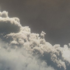 Mango Kisses - pocket elephant