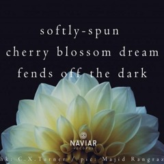 Blossom Dream [NaviarHaiku435]