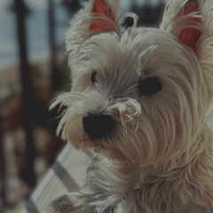 Life is Beautiful. JACKSON here -