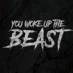 You Woke Up The Beast