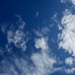 Field Epic - disquiet0668