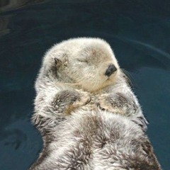 OTTERS <3