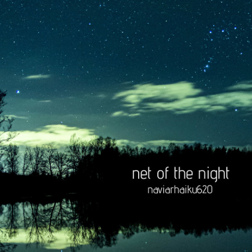 net of the night (naviarhaiku620)