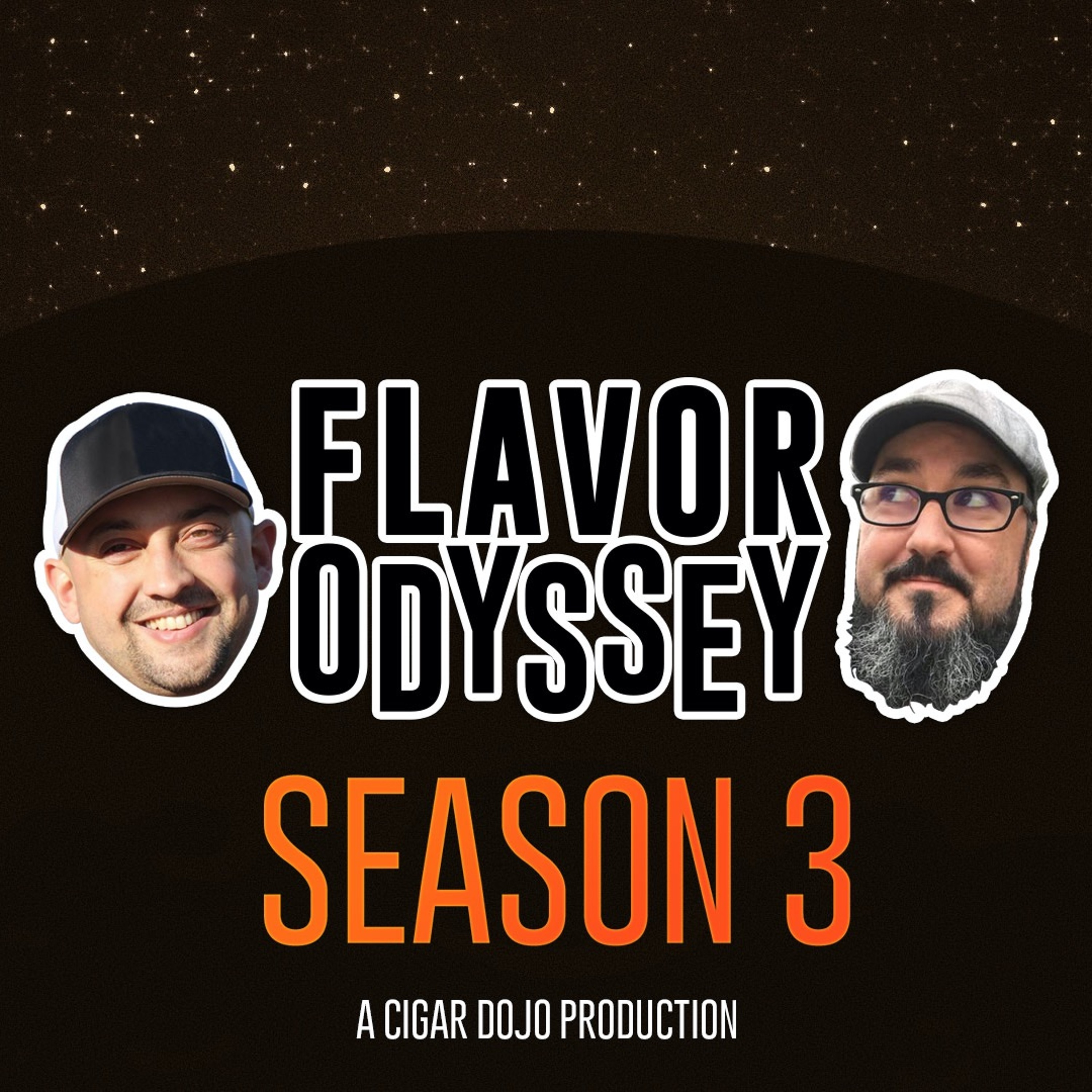 A Flavor Odyssey