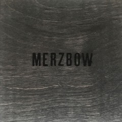 Merzbow - 001 A Excerpt (from Collection 001)