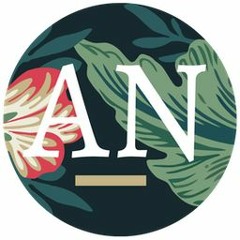 Angela Nagle on Elites and Institutions