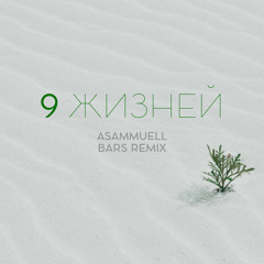 9 жизней (BARS Remix)