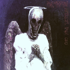 The Messenger Arrives