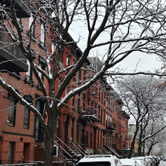 Snow in Brooklyn