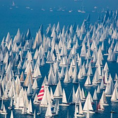 Regatta