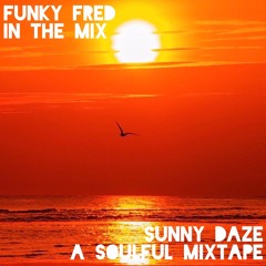 Funky Fred In The Mix - Sunny Daze