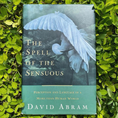 Spell of the Sensuous