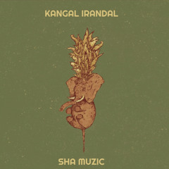 Kangal Irandal ( cover by SHA MUZIC )
