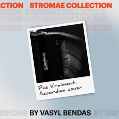 Stromae - Pas Vraiment / accordion cover by Vasyl Bendas