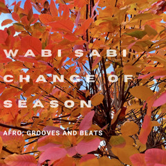 Afro, Grooves and Beats - Change of Season Mix
