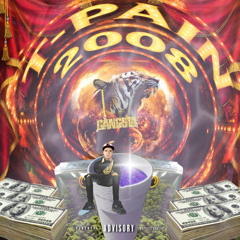 T-Pain 2008 (prod. NuTron)