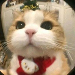 Music From Sài Gòn City Vol End - Melon