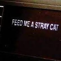 Feed Me A Stray Cat