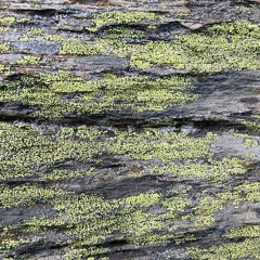 podcast DIA! Radio 09.11.22