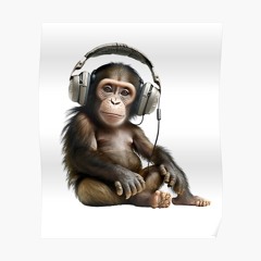 Munkebanana essentials