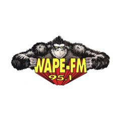 WAPE - Reelworld - 2008 (KIIS LA '07)
